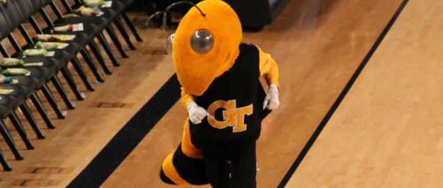 The Georgia Tech Yellow Jackets mascot at game against North Carolina A&T Aggies