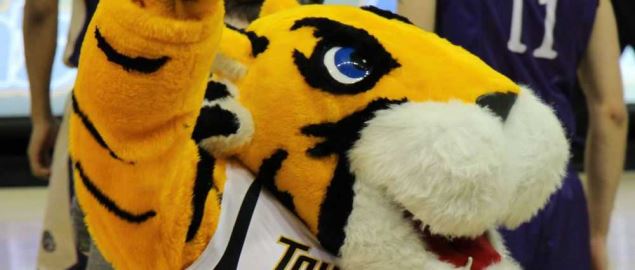 The Towson University basketball team mascot, Doc the Tiger.