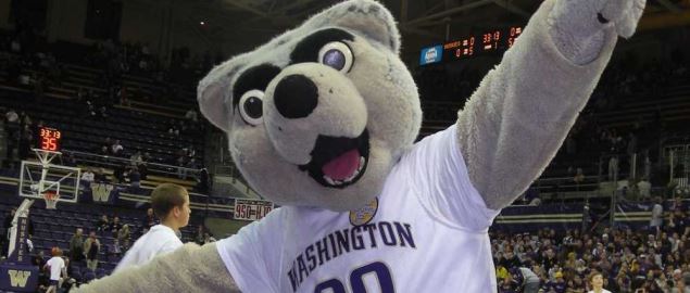 Harry the Husky at a Basketball Game.